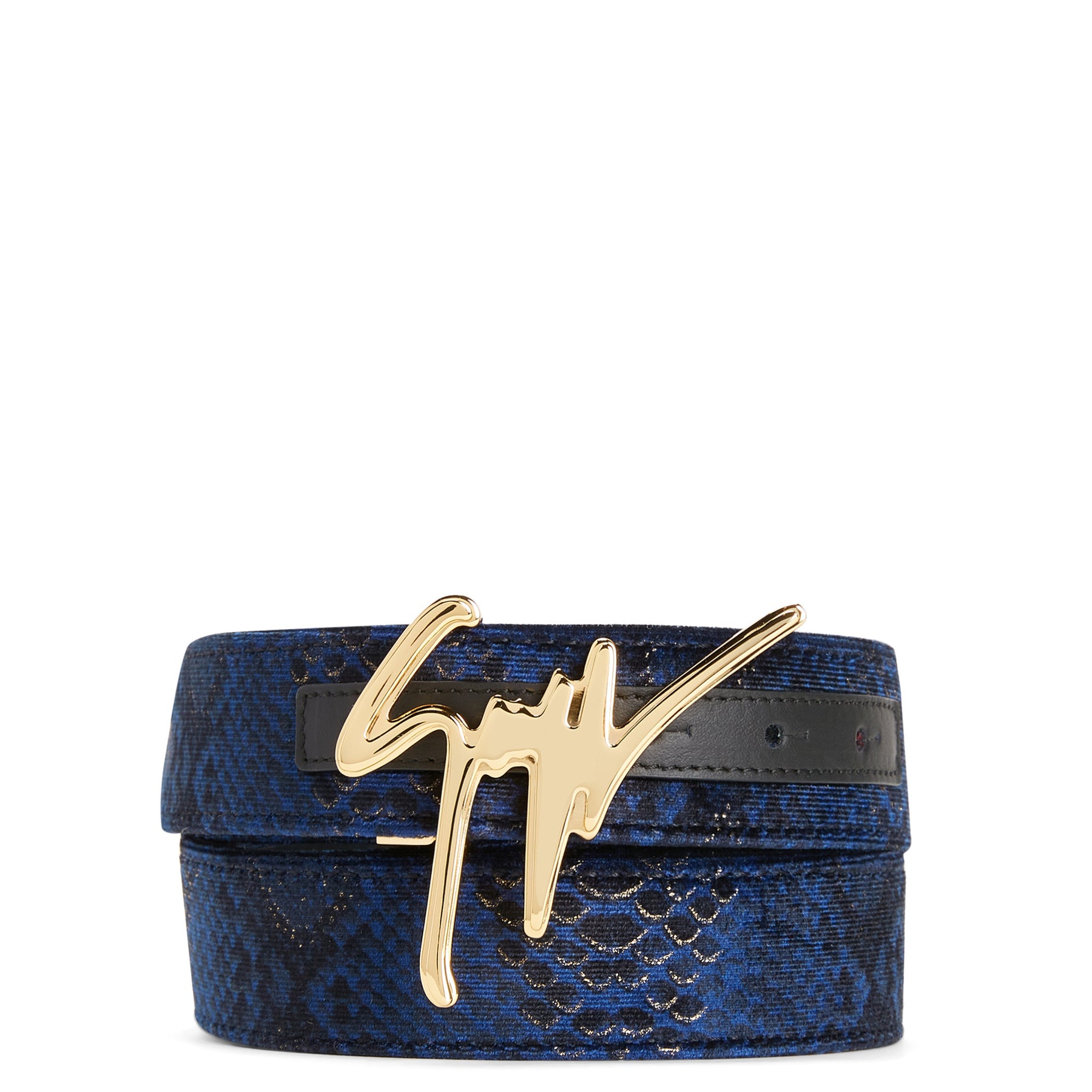 Giuseppe Zanotti Giuseppe