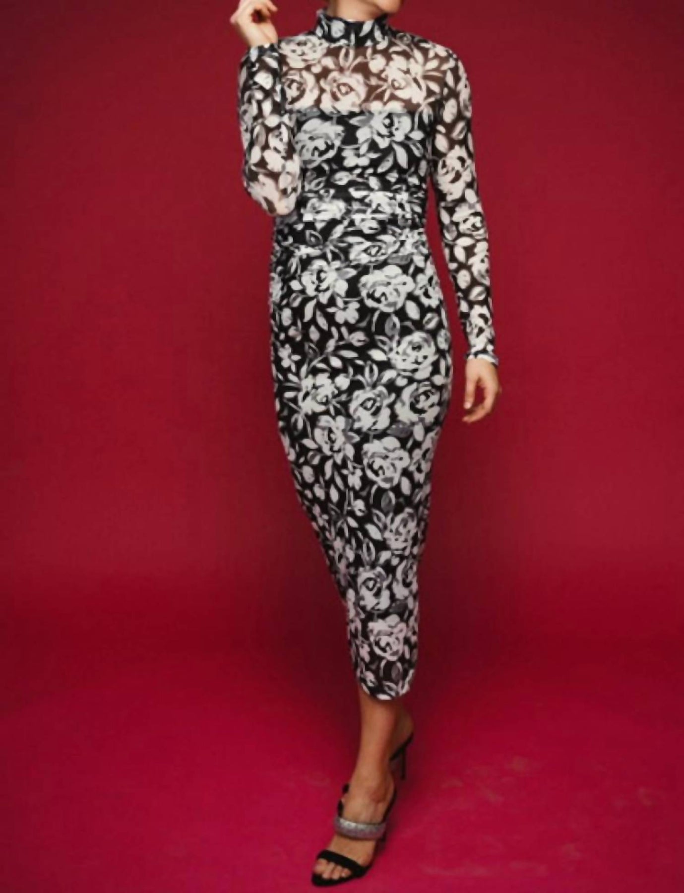 Dominique Langärmeliges bedrucktes Mesh-Kleid in Midnight Rose