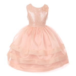 RainKids kleine Mädchen staubig rosa Pailletten Spitze Organza überlagert Blumenmädchen Kleid 2-6