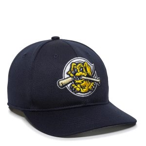 Outdoor-Cap charleston RiverdogsTM milb® Replik strukturierten Massiv-Panel Hut (min-350)