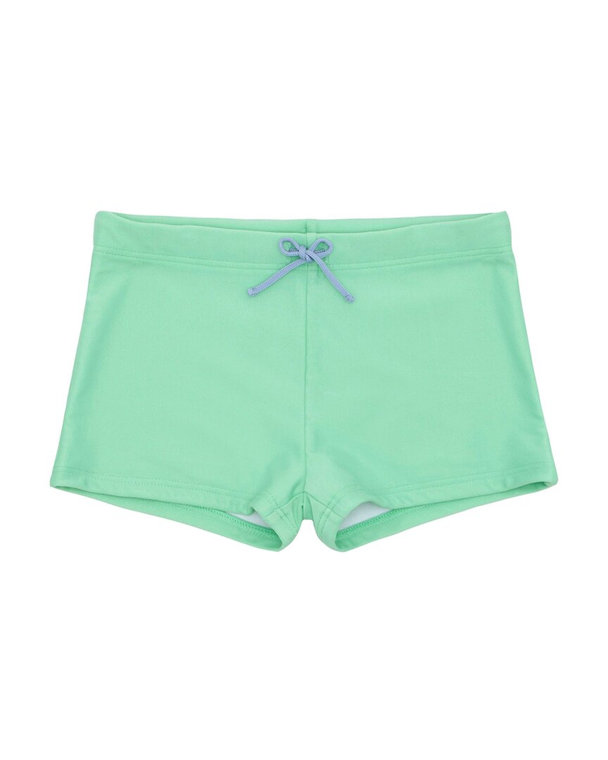 Minnow Brief