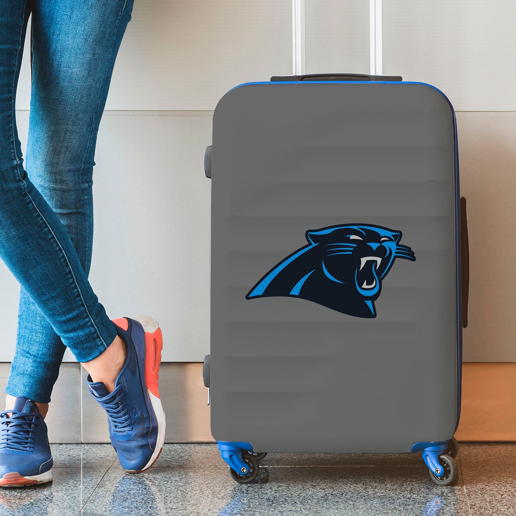 Fanmats Carolina Panthers große Aufkleber