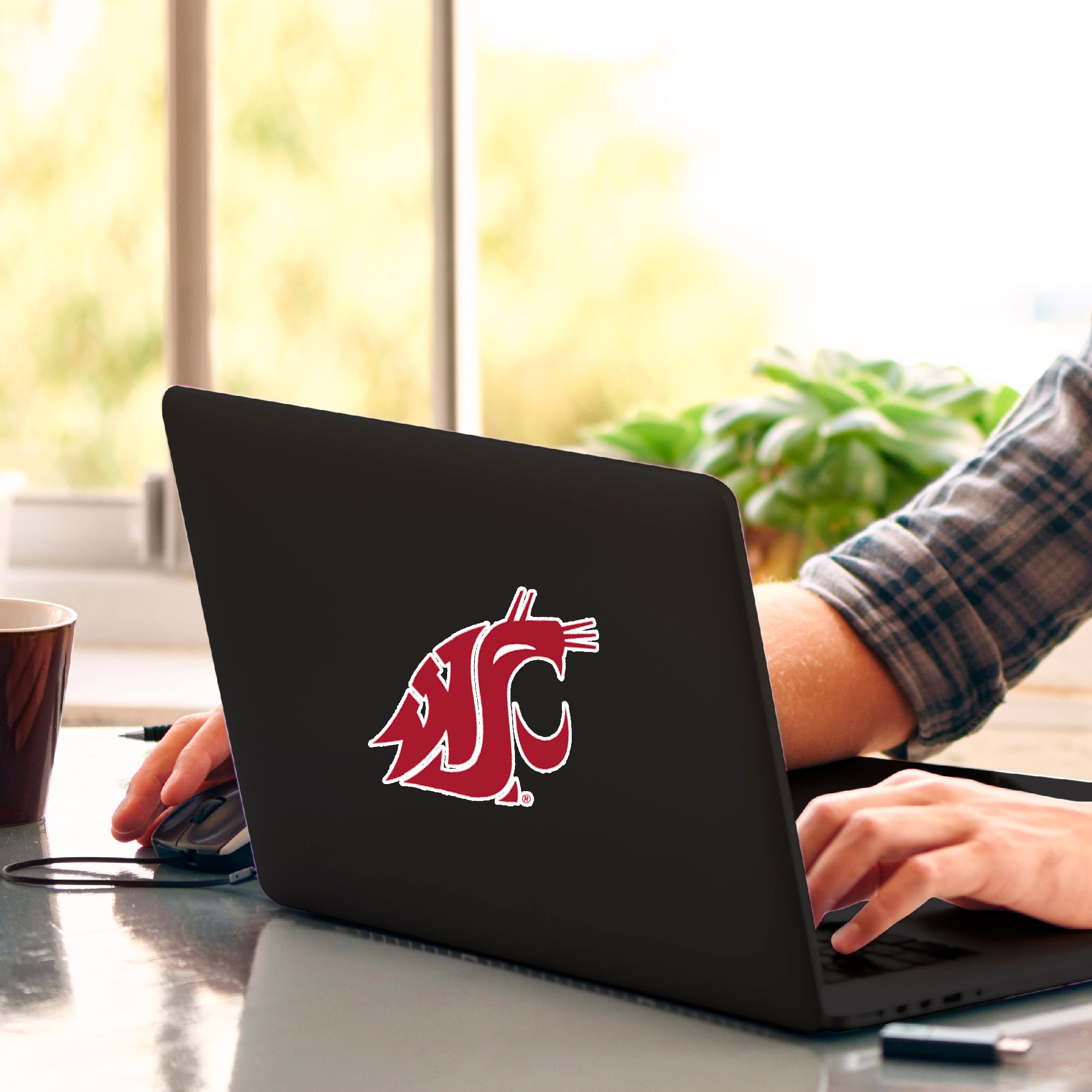 Fanmats Washington State Cougars Matte Aufkleber