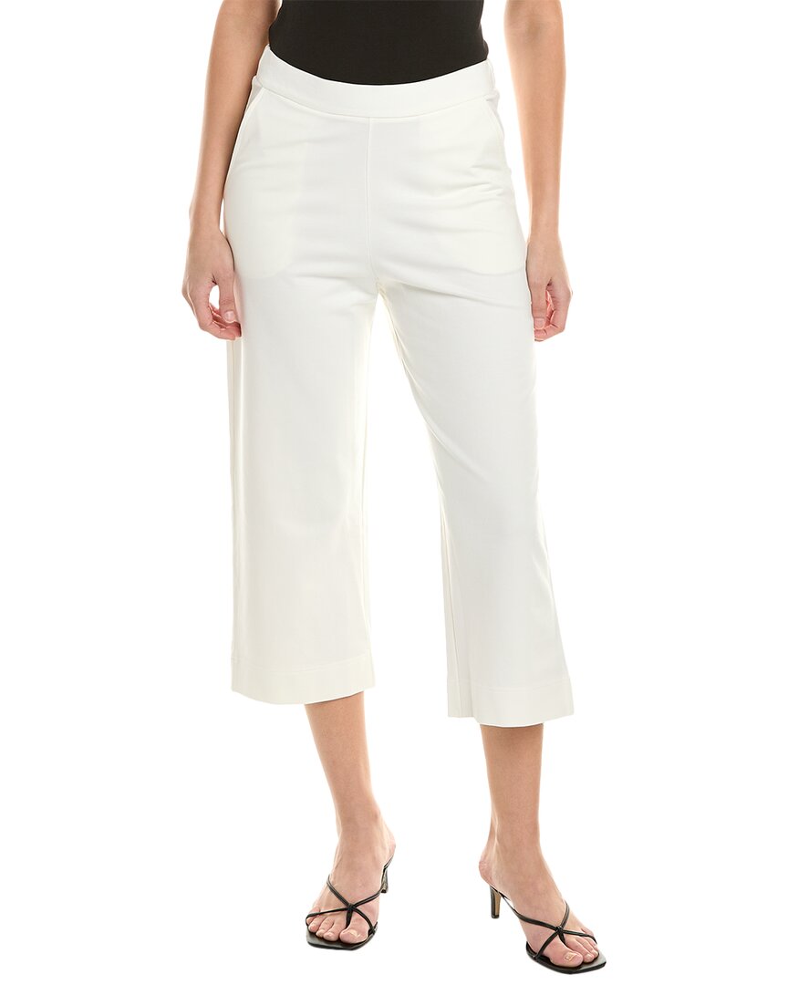 ALPHA STUDIO Hose