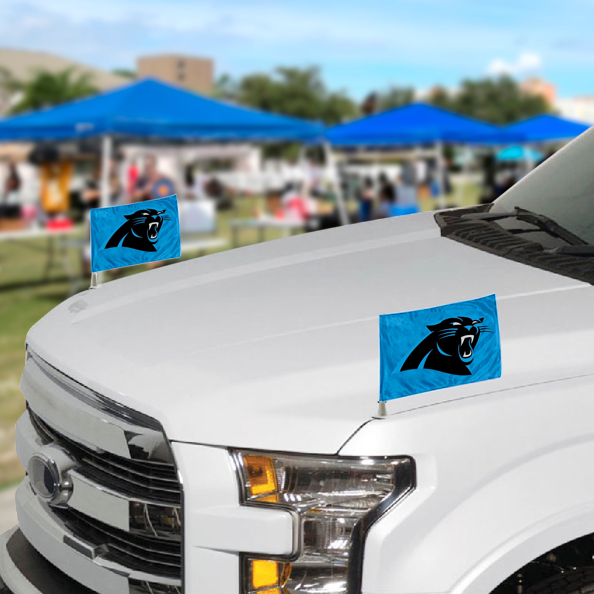 Fanmats Carolina Panthers Ambassador Autoflaggen - 2 Packung Mini Autoflaggen, 4 "X 6"