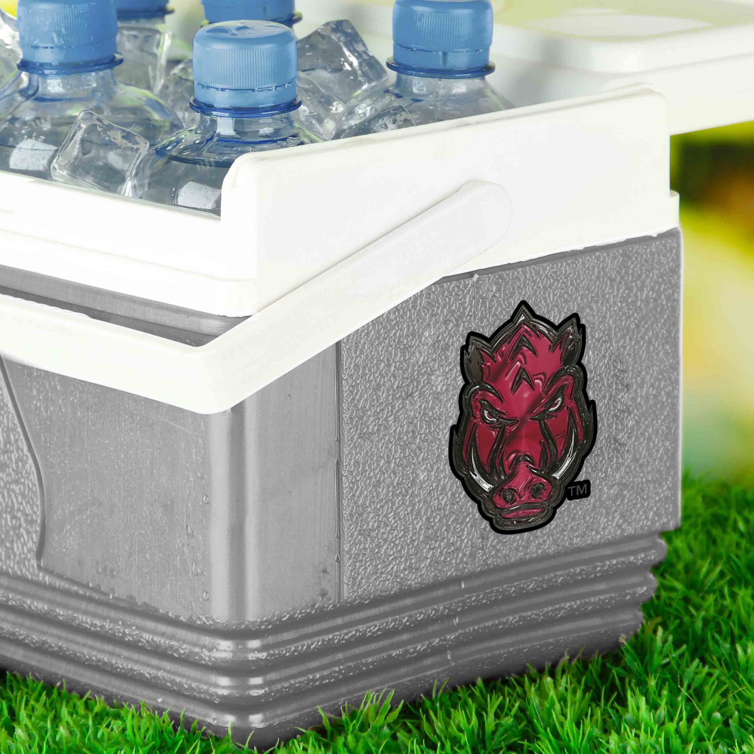 Fanmats Arkansas Razorbacks 3D Aufkleber