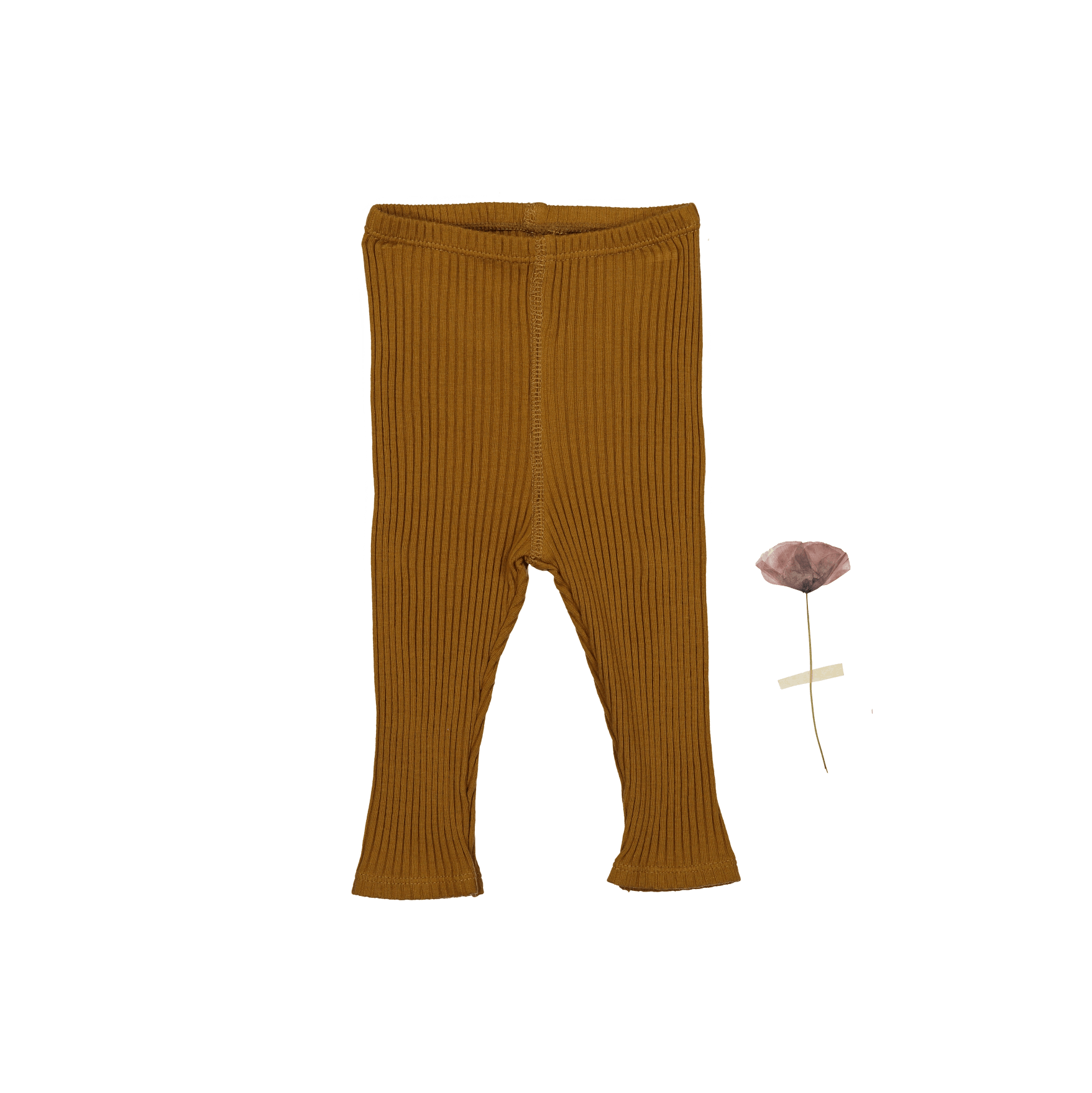 Die Legging – Cider