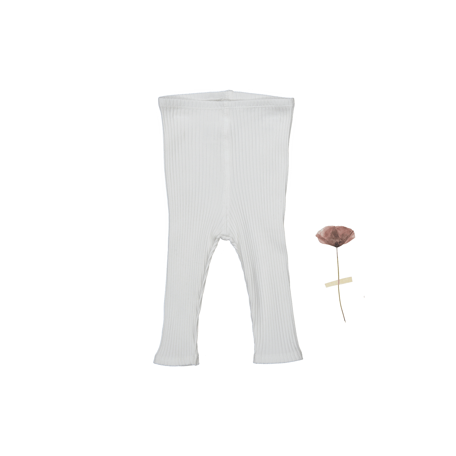 Die Legging – Bone