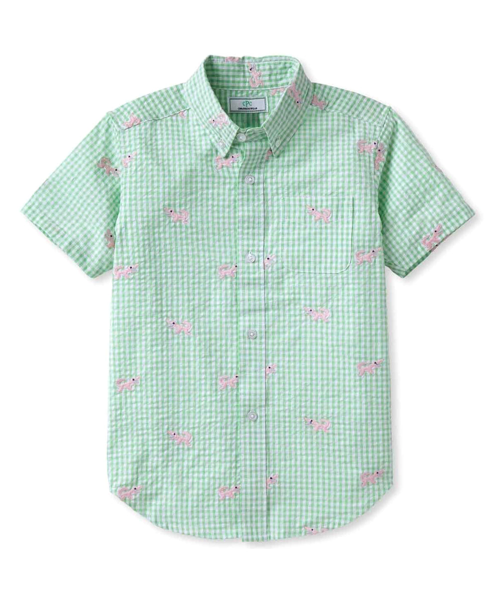 Classic Prep Jungen Apfel Grün Gingham mit Knopfleiste Kurzarm Größe: 6-14 Jahre