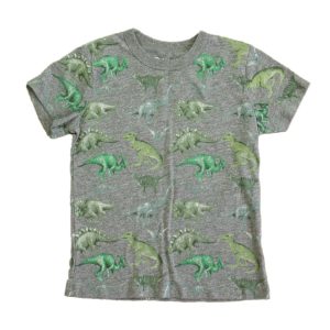Chaser Jungen grau-grün Dinosaurier T-Shirt 7805843767356