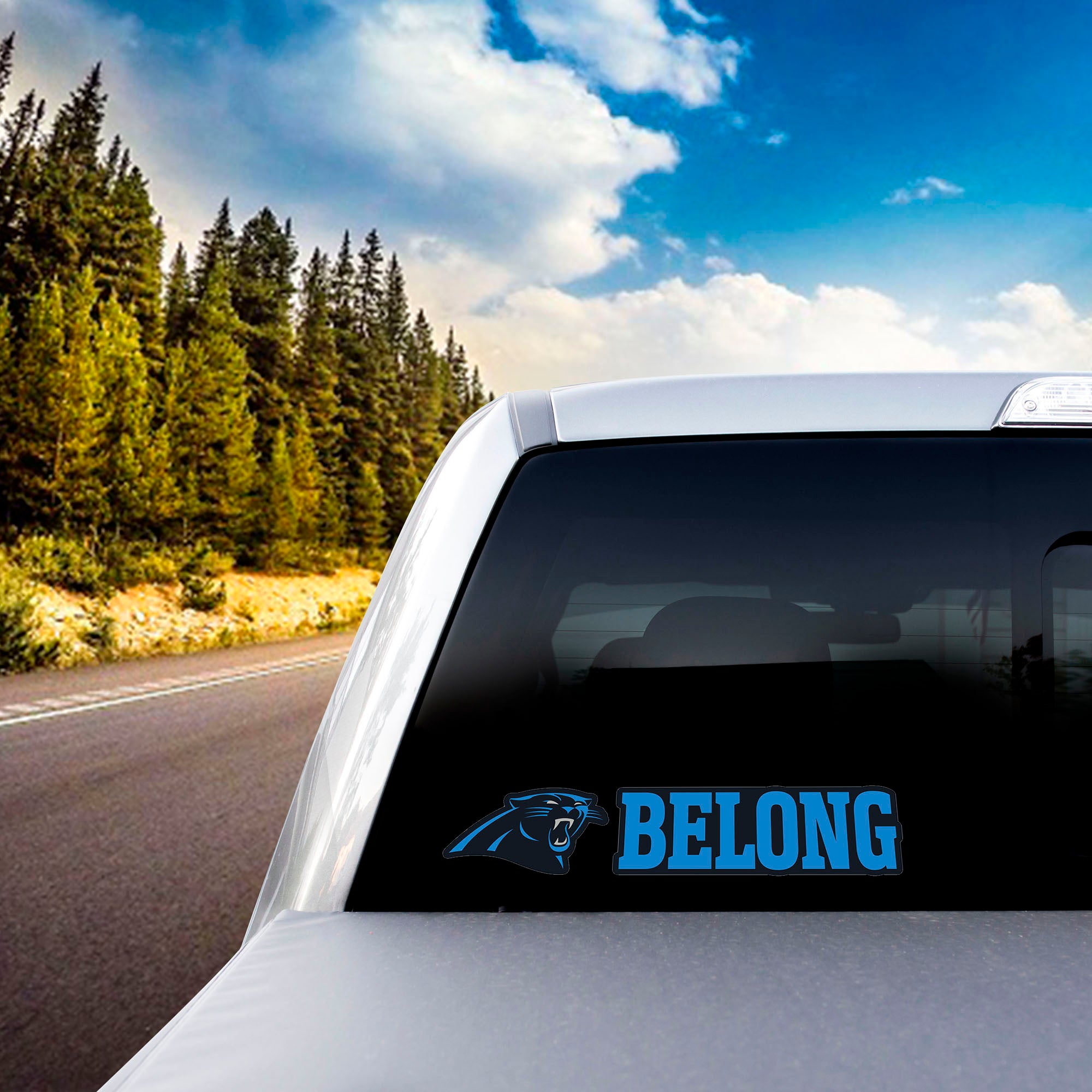 Fanmats Carolina Panthers 2 Stück Team Slogan Aufkleber Set