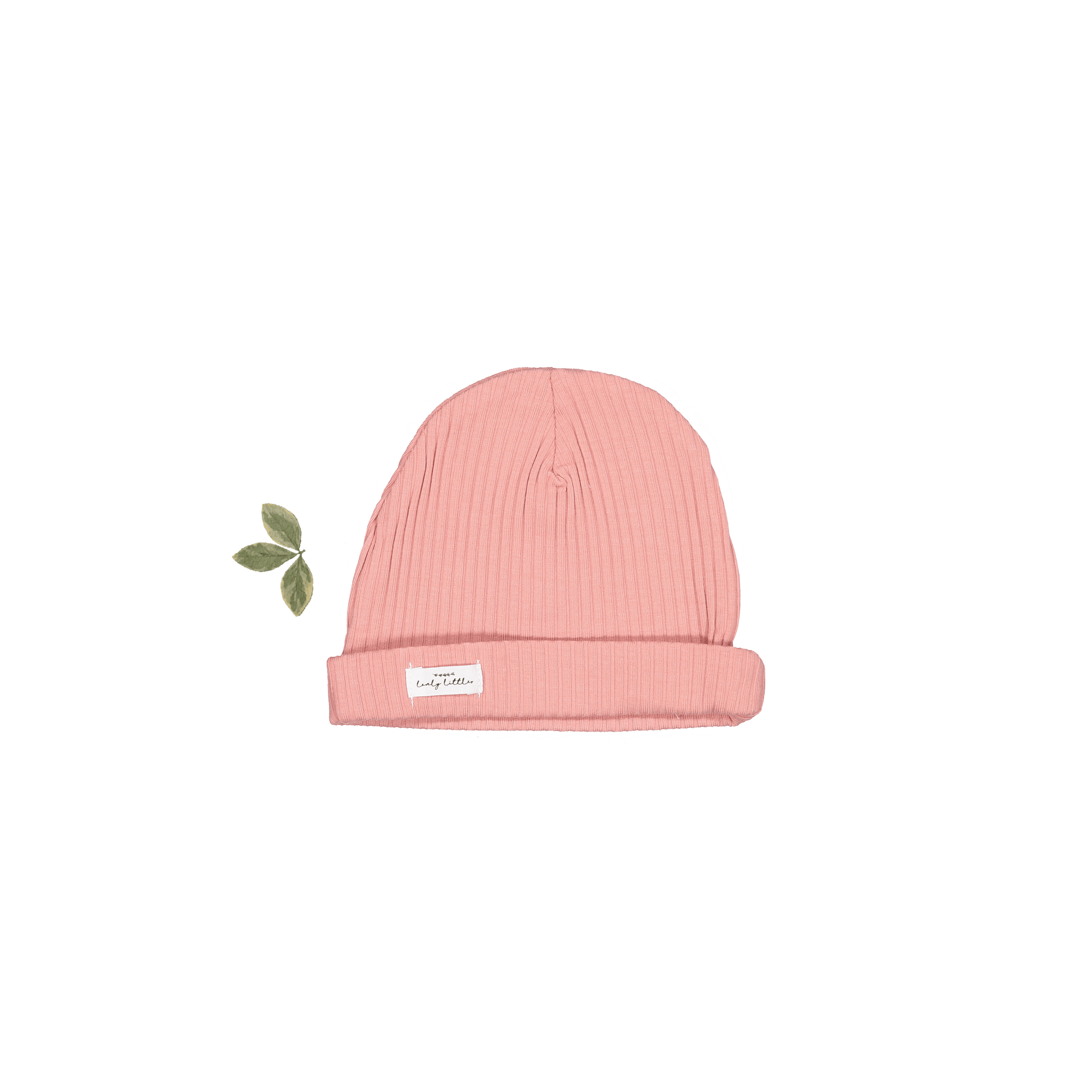 Der Hut – Rose
