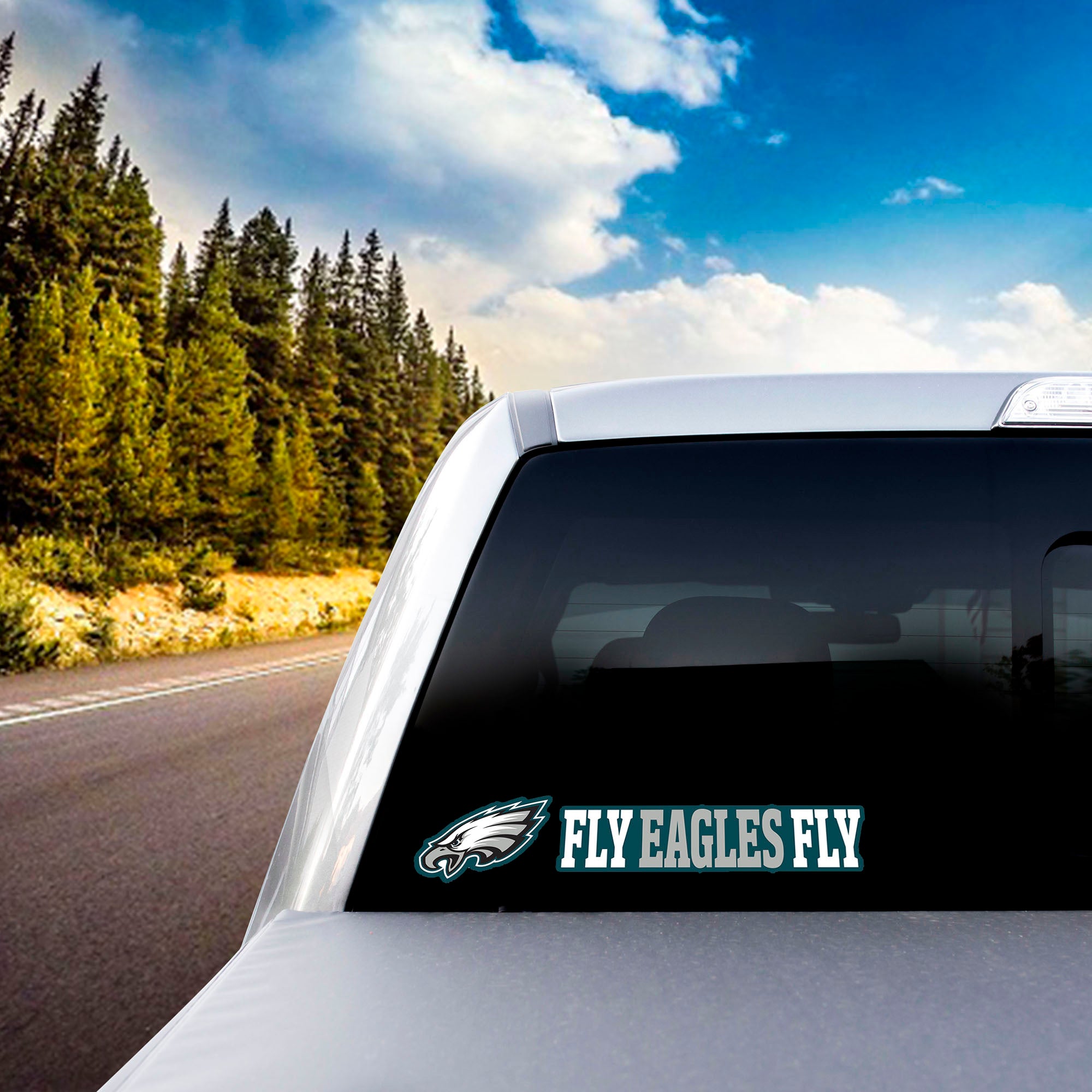 Fanmats Philadelphia Eagles 2 Stück Team Slogan Aufkleber Set