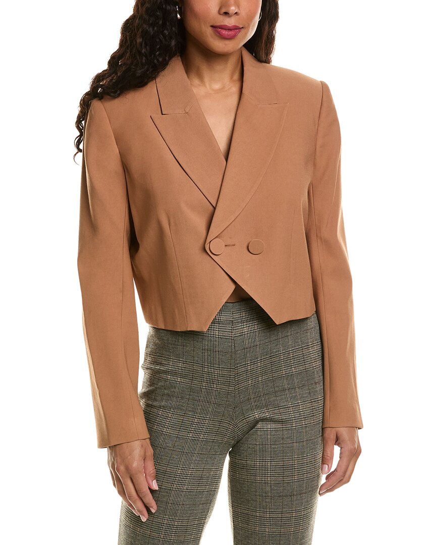Der SEI Crop Blazer