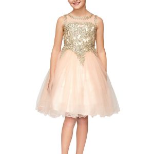 Mädchen multi Farbe Gold trim Draht Tüll Blumenmädchen Junior Brautjungfer Kleid 4-20