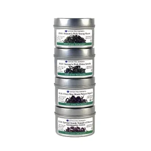 Grüner Tee Sampler