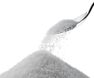 Health Garden Echte Birke Xylitol, BULK 40 lbs