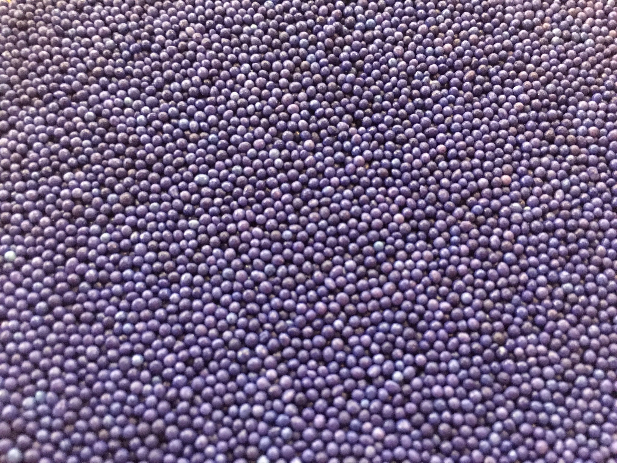 Lavendel Nonpareils