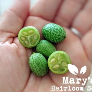 Cucamelon