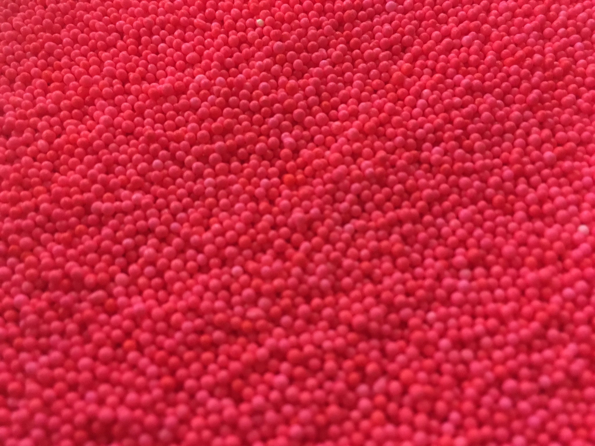 Rosa Nonpareils