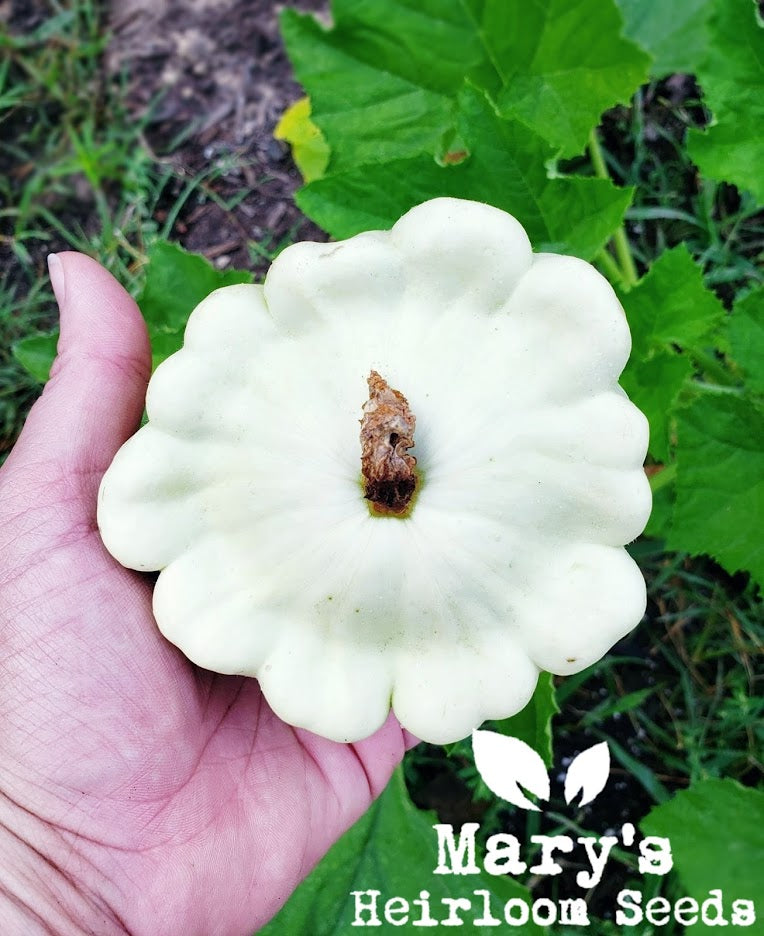 Mary's „Texas“ Seeds Combo Packung