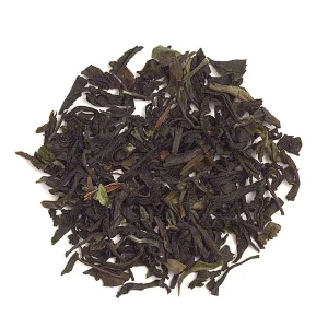 feinste russische Karawane