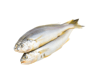 ganz Croaker – 4er Packung – Frische und würzige Meeresfrüchte Delikatesse
