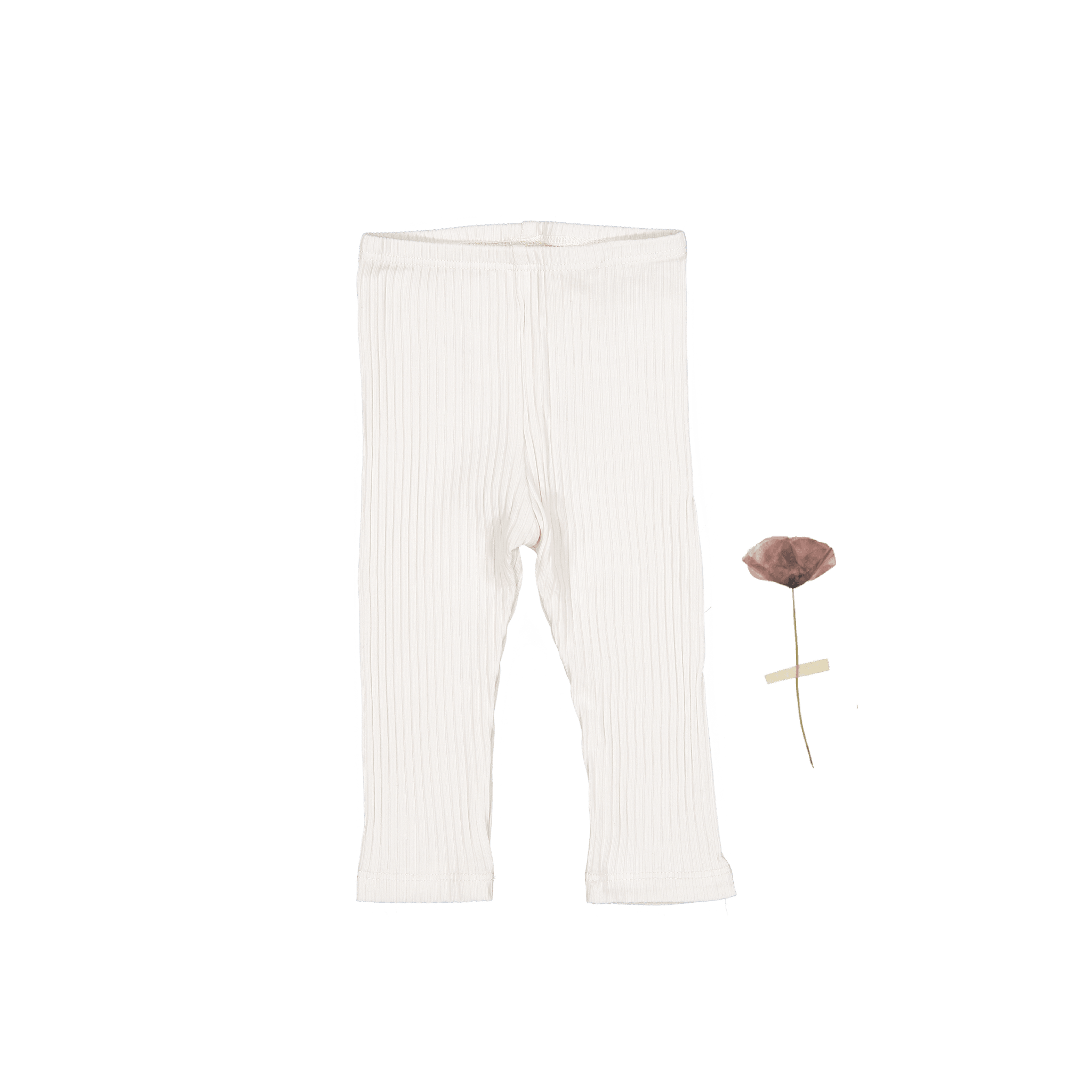 Die Legging – Perle
