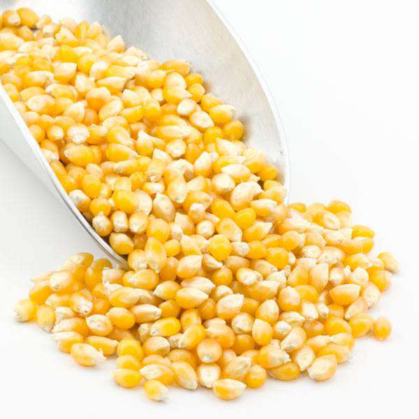 Popcorn, gelb