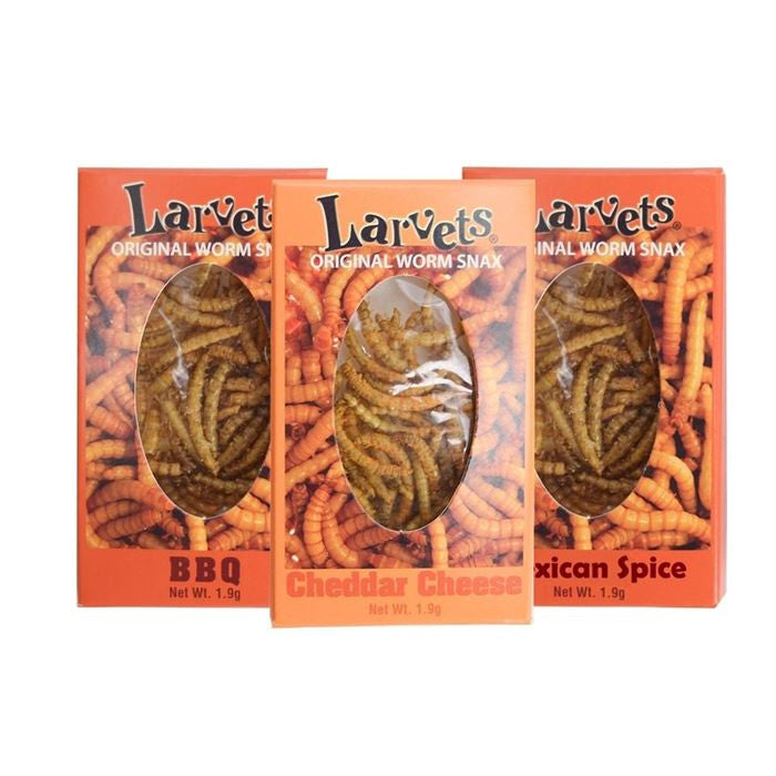Larvets Worm Snax sortierte Box – 24 Stück