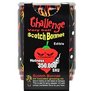Challenge – Chilipflanze Red Scotch Bonnet, 350.000 SHU