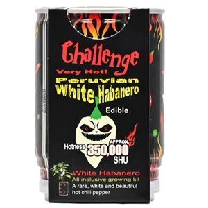 Challenge – Chilipflanze Peruvian White Habanero, 350.000 SHU
