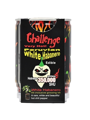 Herausforderung Peruanische Weiße Habanero Pfeffer Pflanze – 350.000 SHU