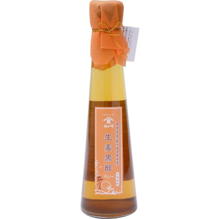 Fukuyamasu Shoga Kurozu Ingwer gewürzt Schwarzer Reis Essig 200ml