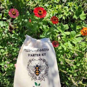 Bestäuber Garten Starter Kit