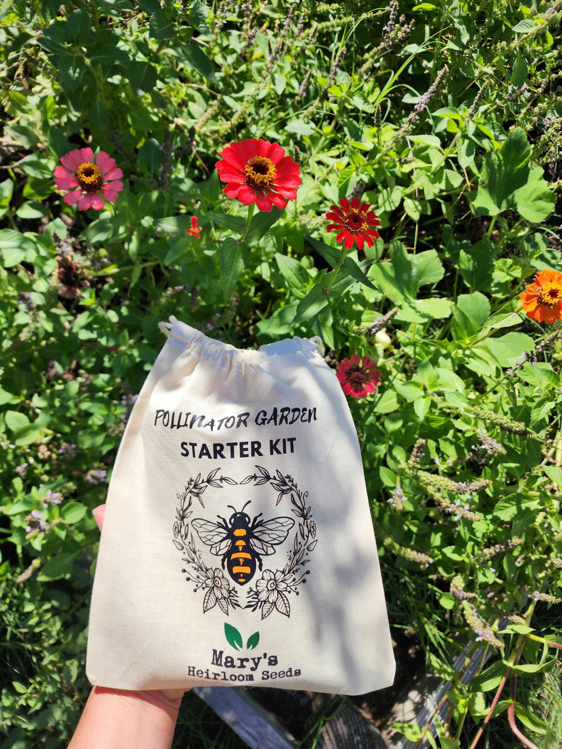 Pollinator Garten Starter Kit