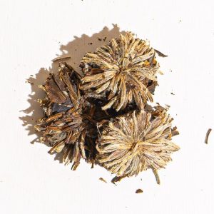 Jasminbai mu dan