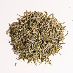 Peony weiße Nadel