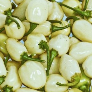weißer Habanero-Pfeffer
