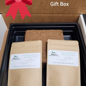 Zwiebel Microgreens Starter Kit Geschenkbox