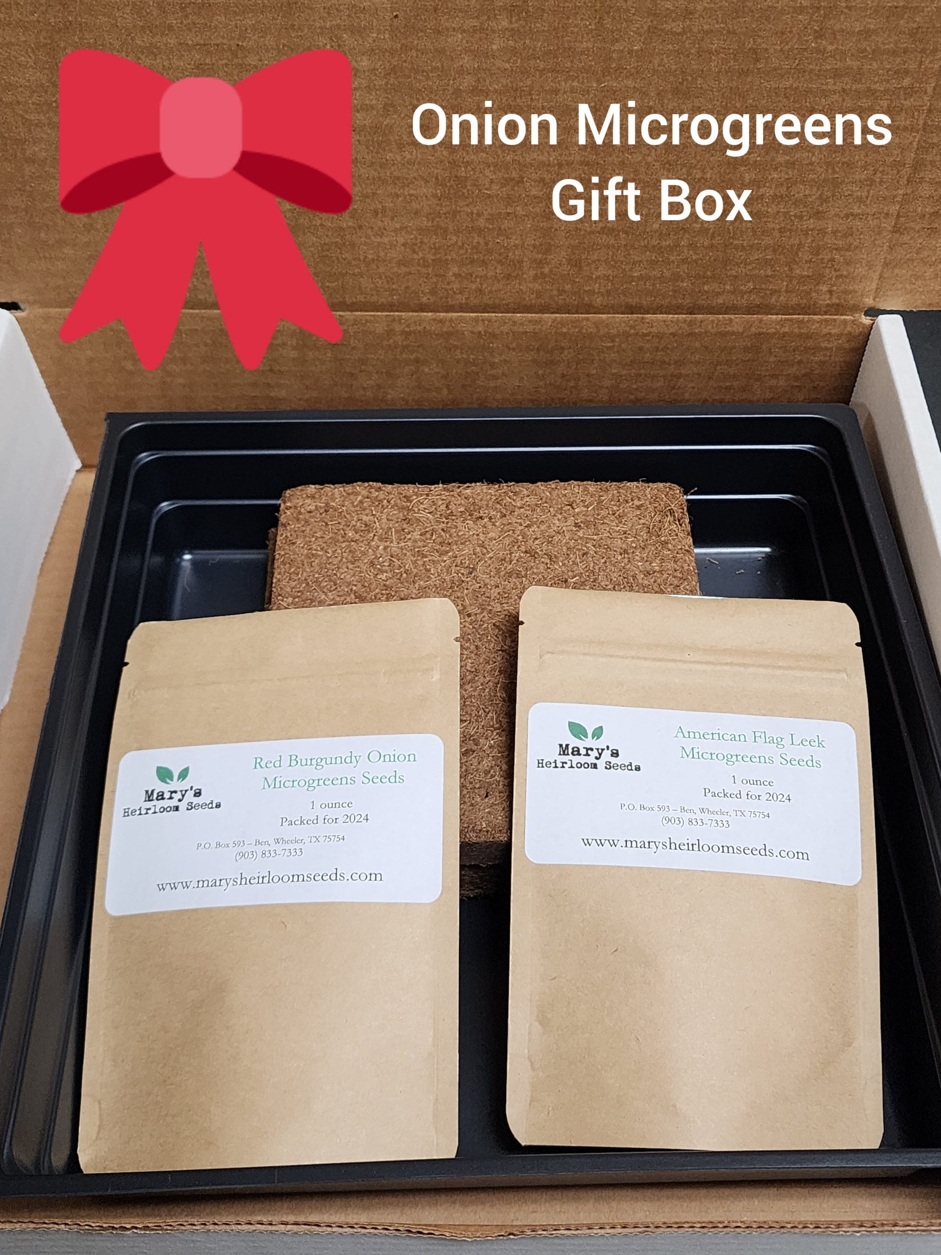 Zwiebel Microgreens Starter Kit Geschenkbox