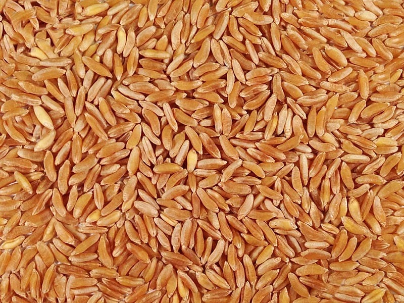 Khorasan Weizen