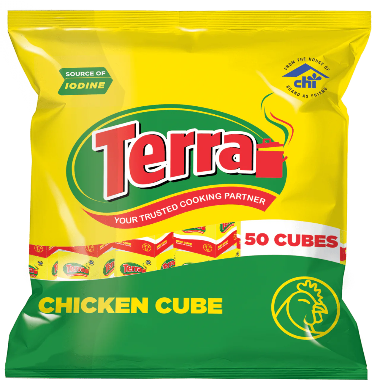 Terra Hähnchen Maggi Gewürz