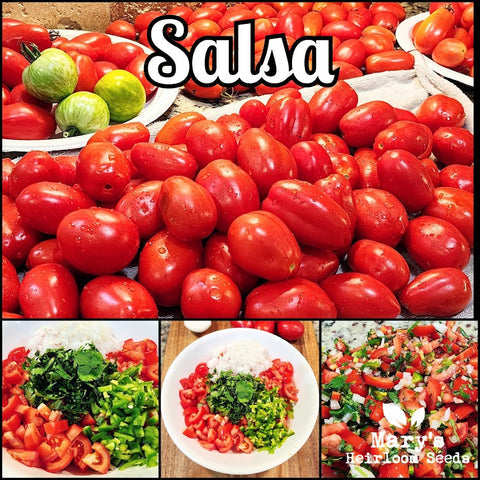 Salsa Garden Combo Packung