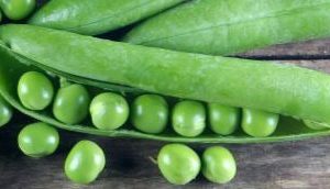 grüner Pfeil Erbse Masse