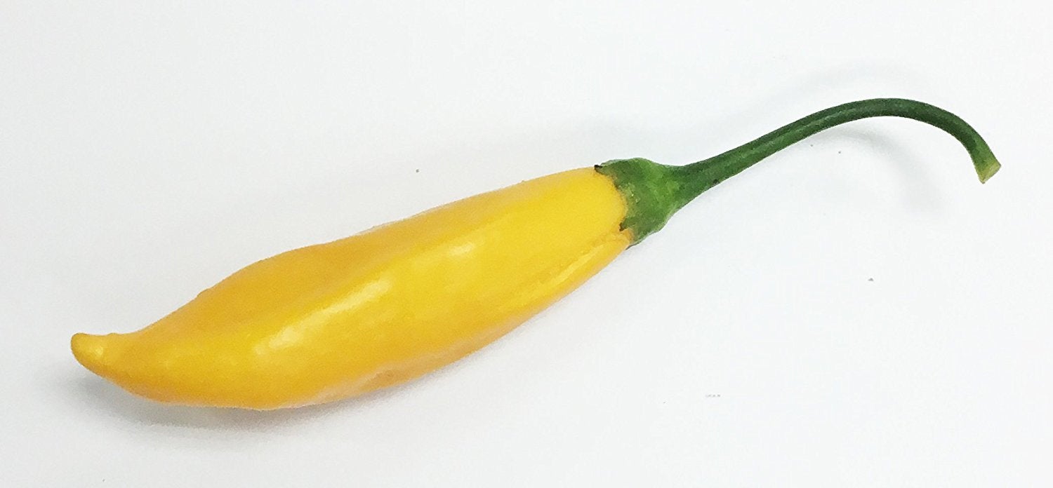 Aji Cito Pfeffer