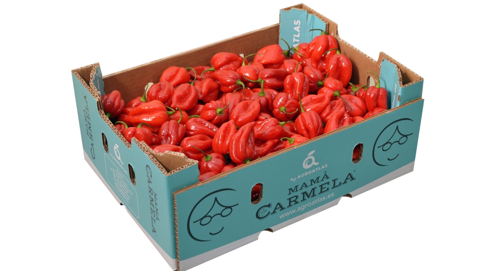 Roter Habanero Pfeffer – Fiery Hot Geschmackvolles Vergnügen