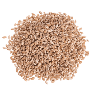 Weizen-Beeren, hart rot, Bio