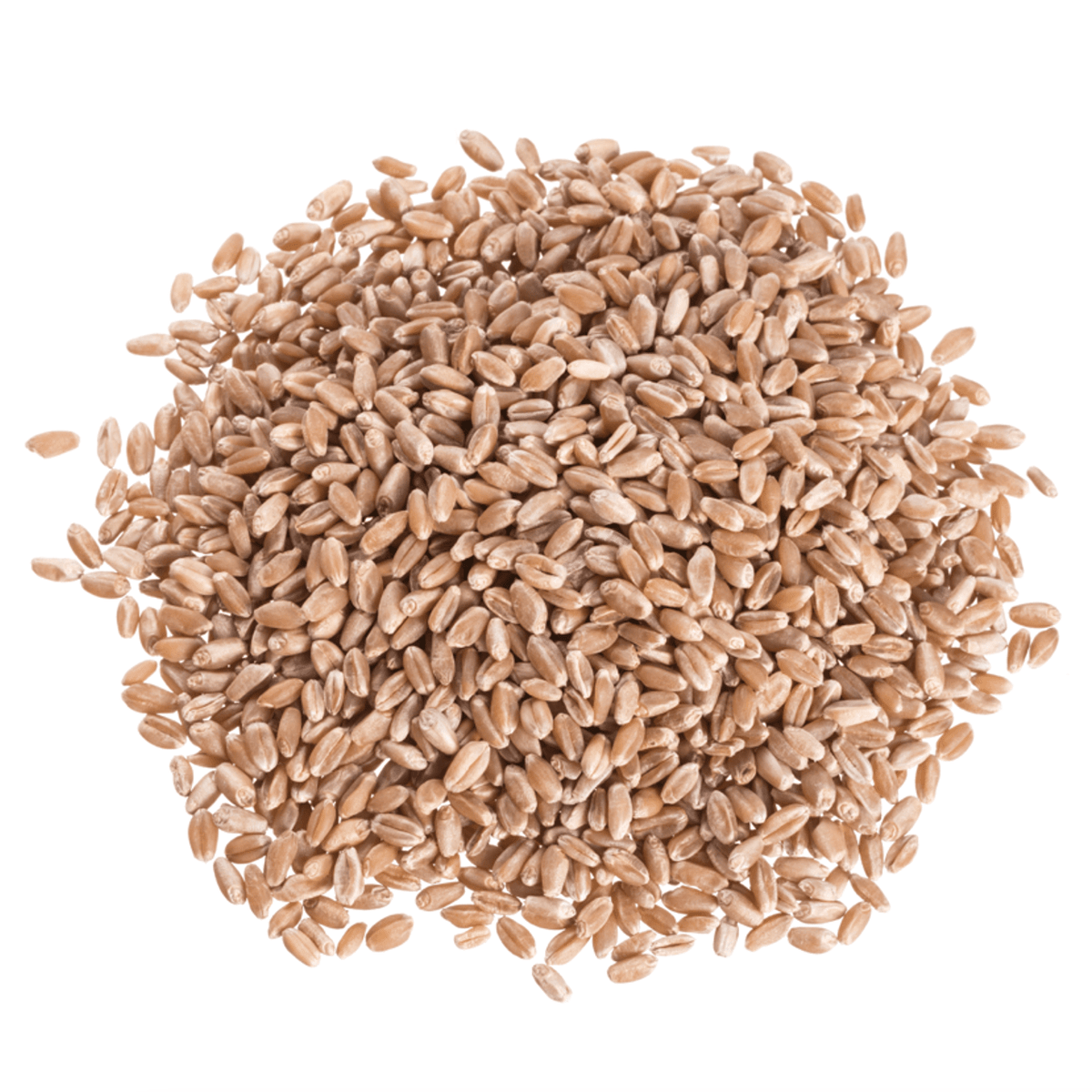 Weizen-Beeren, hart rot, Bio