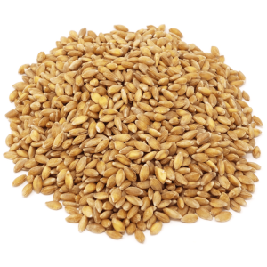 Einkorn Berries, ökologisch